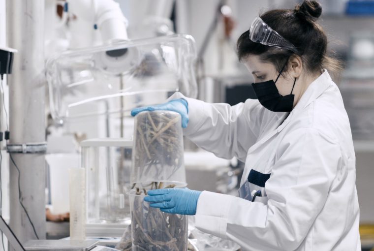 Norratex ist eine neue Textilfaser, die viel umweltfreundlicher ist. (Foto: Photino Science, Pentti Pällijeff)