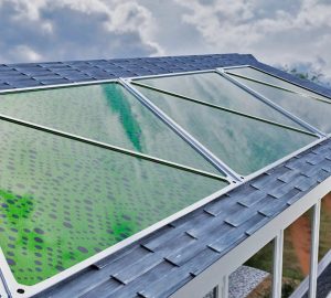 Algen-Paneele als Alternative zu Photovoltaik? (Foto: Greenfluidics)